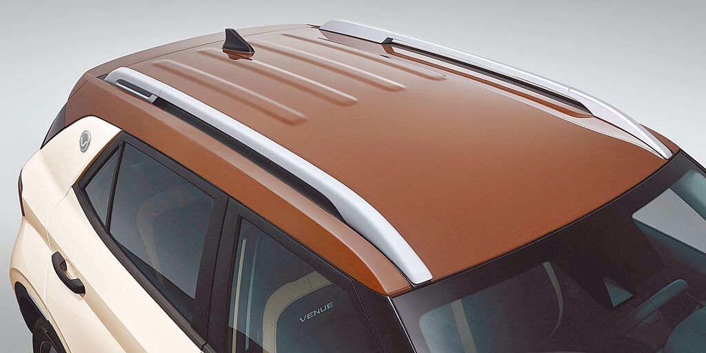 淺棕色的主調搭配深咖車頂。（南陽實業提供）