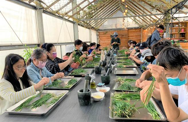 香草野园团队在大溪中庄推动韭菜产业转型。(研考会提供／蔡依珍桃园传真)