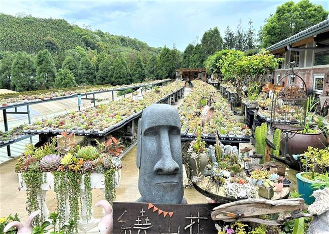 位于龙潭的三和青创基地将废弃鸡舍改建为多肉植物园。(研考会提供／蔡依珍桃园传真)