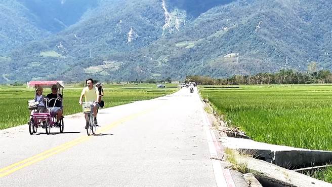 海葵颱風重創台東池上鄉觀光景點，伯朗大道人潮較同期減少4成。（蕭嘉蕙攝）