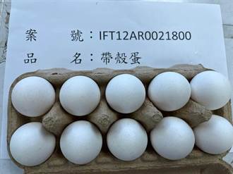 農業部稱巴西蛋可保存4個月 專家曝製程：根本瞎扯蛋