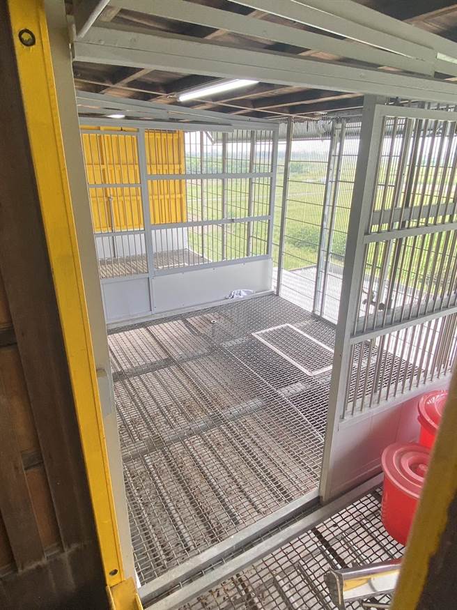 检警查获11个鸽舍（包含人头鸽舍）未善尽责付保管，263已扣案鸽子全部突然消失。（读者提供／张毓翎台南传真）