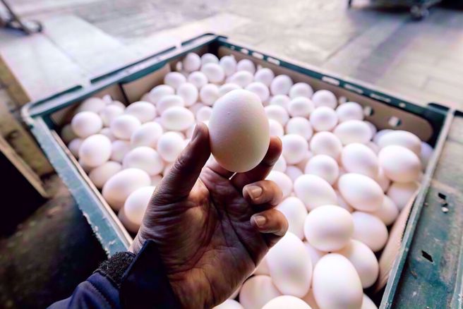 防检署日前称巴西来的鸡蛋最晚5月30日装船，结果前几天还有巴西蛋在架上，引发眾怒。（图／取自Linbay好油脸书）