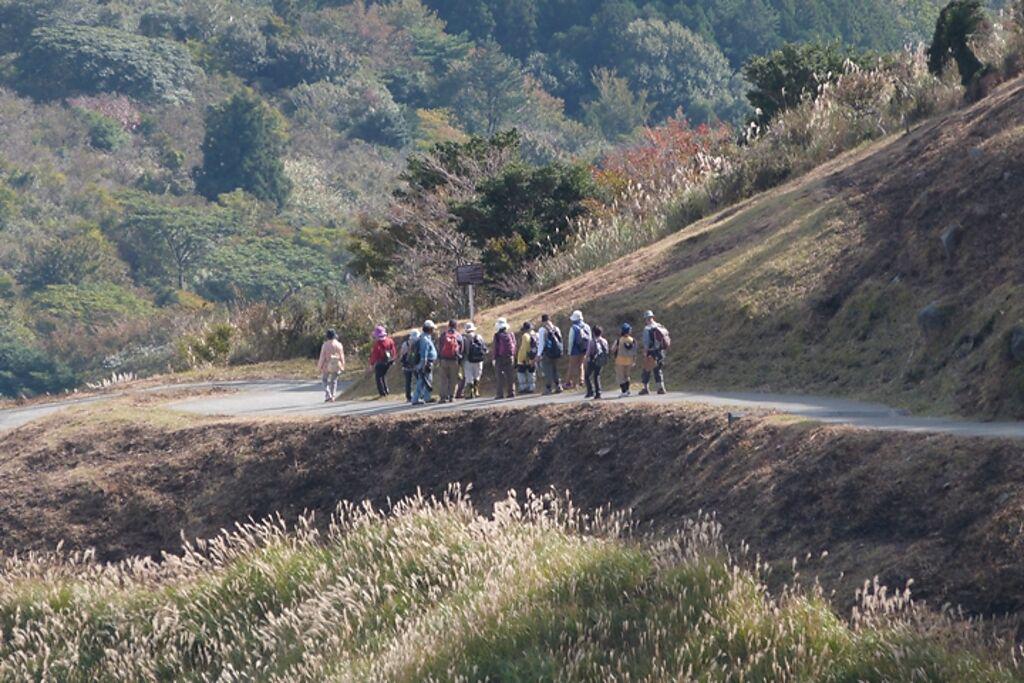 自然觀察會整趟行程約5小時，每一梯次僅限20人，會日文又熱愛自然的旅人不可錯過。　圖：東伊豆町觀光協會／來源