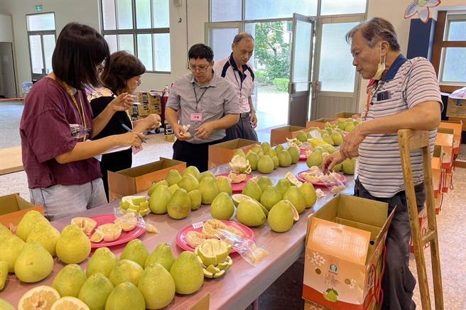 西湖乡农会举办文旦柚果品评鑑。（苗栗县政府提供／李京升苗栗传真）