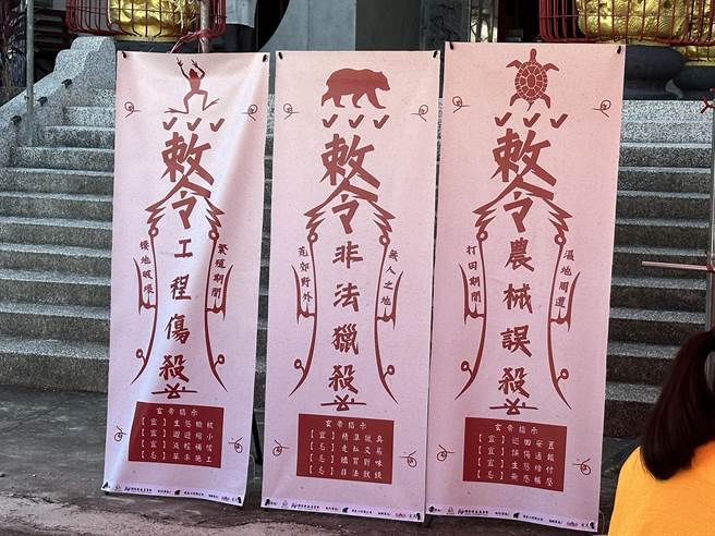 野生动物常遭路杀，台东池上今天举办野生动物祭。（蔡旻妤摄）