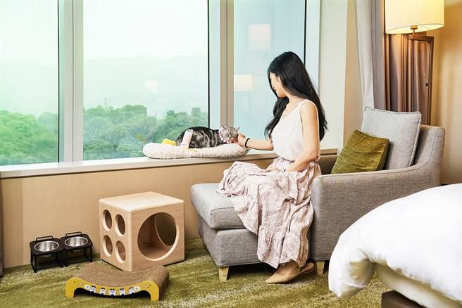 台北六福万怡酒店联手全台最大宠物电商平台「宠物公园PetPark、毛孩市集」，推出「毛孩FUN风趣住房专案」。(六福旅游集团提供)
