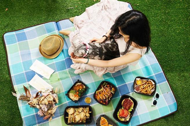 「毛孩FUN风趣住房专案」特别企划毛孩放风行程，可携带双人下午茶野餐外带餐，内含宠物餐，至邻近的宠物友善公园放风。(六福旅游集团提供)