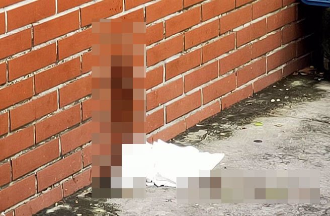 着名的台南市中西区水仙宫市场附近，屡有随地便溺造成环境骯脏、恶臭。（王家贞提供／洪荣志台南传真）