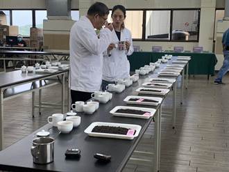 2023鹿谷凍頂「蜜香貴妃茶」與「老茶」競賽出爐　雙茶王價曝光