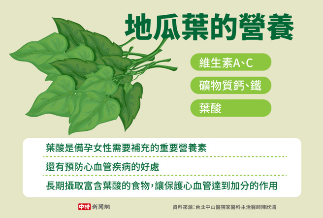 地瓜葉的營養(製圖/中時新聞網)