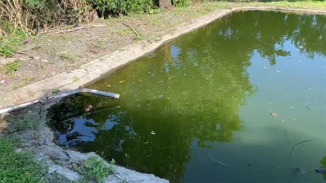 台东今天下午发生幼童溺水意外。（读者提供／蔡旻妤台东传真）