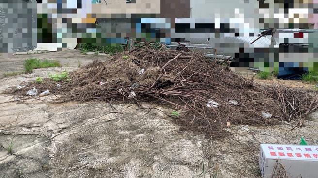 登革热疫情严峻 全台逾半县市沦陷  高雄本土病例累积274例