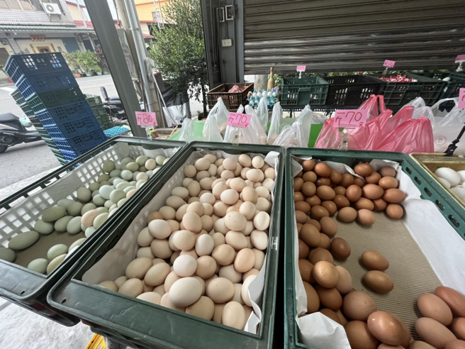 國產雞蛋價格混亂，高雄市大旗美地區有菜販已自行漲至1台斤65元，蛋商坦言雞蛋價格已回不去。（記者林雅惠攝）