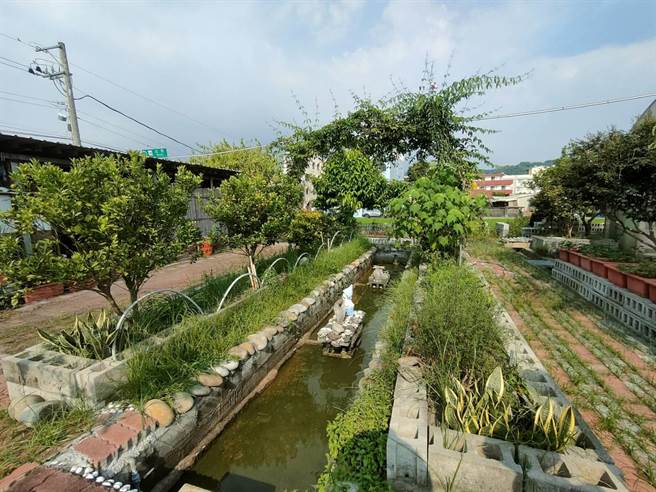 台中市雾峰区旧正社区的「芳香疗癒庭园」种植了10多种不同的香草，利用香草园推动各样体验、烹饪、手作课程，带领社区长辈走出家中，疗癒身心。（潘虹恩摄）