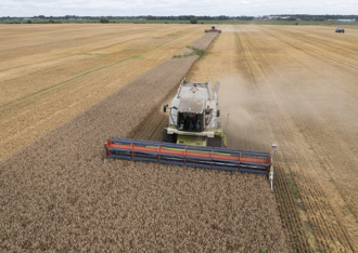 歐盟解除烏克蘭穀物進口禁令 波蘭等3國堅持續行