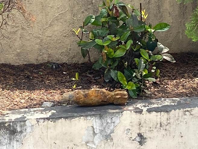 彰化县福马圳和美段改善工程挖到一枚疑似炮弹。（民眾提供／孙英哲彰化传真）