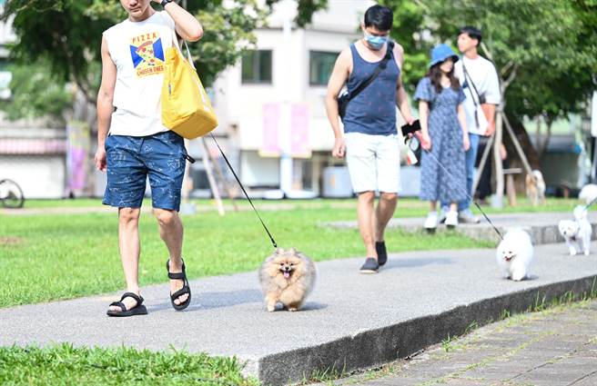 桃園市過嶺森林公園與中壢興仁親子公園將設置2處寵物友善專區，提供飼主安心遛毛小孩。（桃市府提供／蔡明亘桃園傳真）