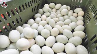 下周恐銷毀逾8000萬顆巴西蛋！Linbay曝大量報廢2禍源