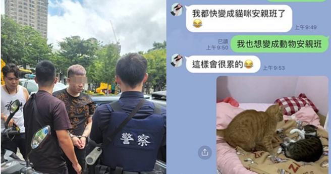 新竹县议员朱健铭日前接获爱妈陈情，表示猫咪被领养后即无法和领养人取得连繫，竟意外发现该对情侣檔不仅吸毒还虐杀猫咪。（图／朱健铭提供）