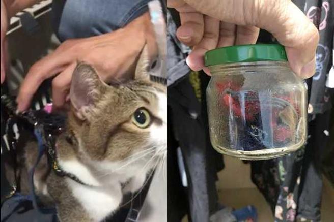 朱健铭与流浪动物真爱协会副理事长黄宣富前往救援时，在毒虫情侣檔的租屋处发现一罐装满无主猫项圈的玻璃罐。（图／朱健铭提供）