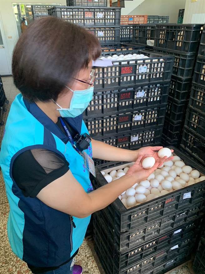 进口蛋风波引爆食安危机，台东县长饶庆铃誓言严禁进口蛋流入，台东不休假加强稽查。（台东县政府提供／萧嘉蕙台东传真）