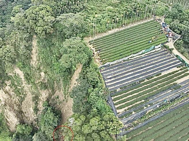 越南籍逃逸移工跳下八卦台地，坠落100公尺深崖受伤，因断崖处直升机无法实施吊挂作业无功而返。（民眾提供／杨静茹南投传真）