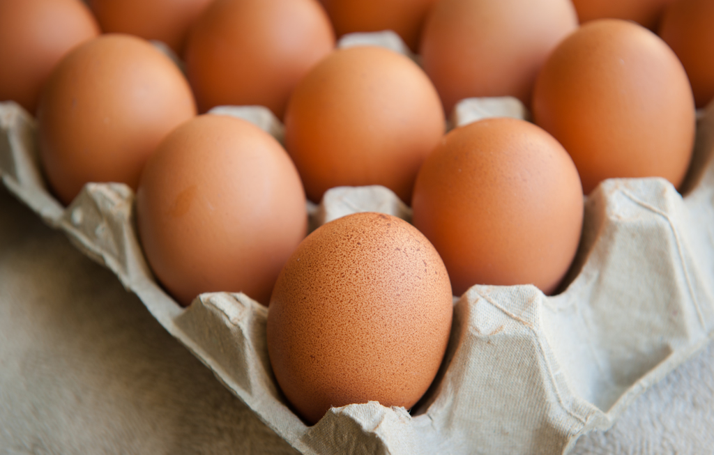 農業部為解決台灣缺蛋危機，專案進口雞蛋，卻爭議不斷。(示意圖/ Shutterstock )