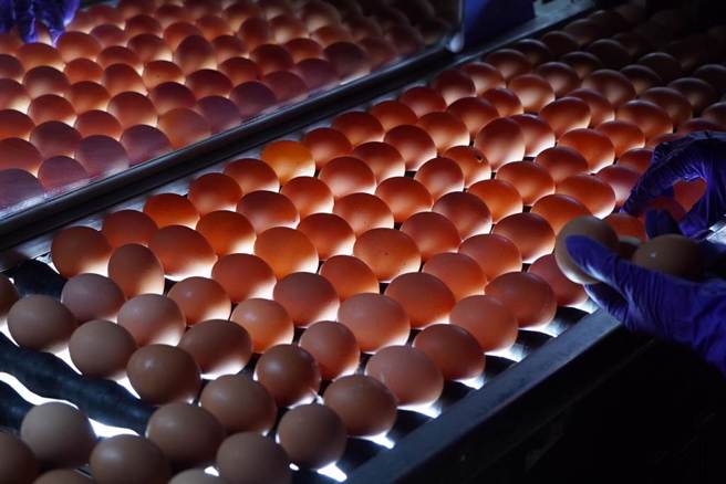 义美被指用到巴西蛋，发声明要求各单位儘速查明真相。（本报资料照）