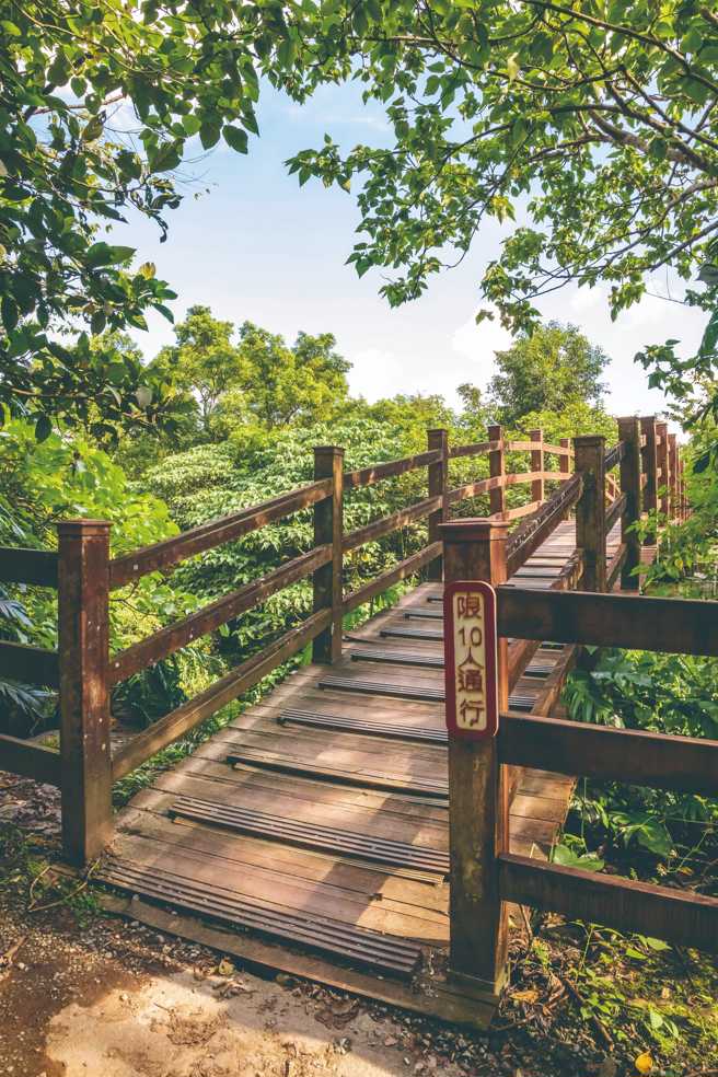 從步道入口的木橋行至撒固兒瀑布觀景平臺，腳程快的話不到半小時就能抵達。（圖/花蓮趣提供）