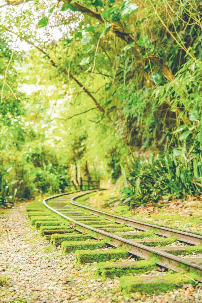 停著藍白色蹦蹦車的舊鐵道上布滿青苔，彷彿訴說著林場過去的故事。（圖/花蓮趣提供）