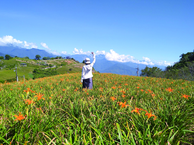 從萬人山下山後，不妨跟著10 座造型各異的涼亭，巡禮六十石山金針花風情。（圖/花蓮趣提供）