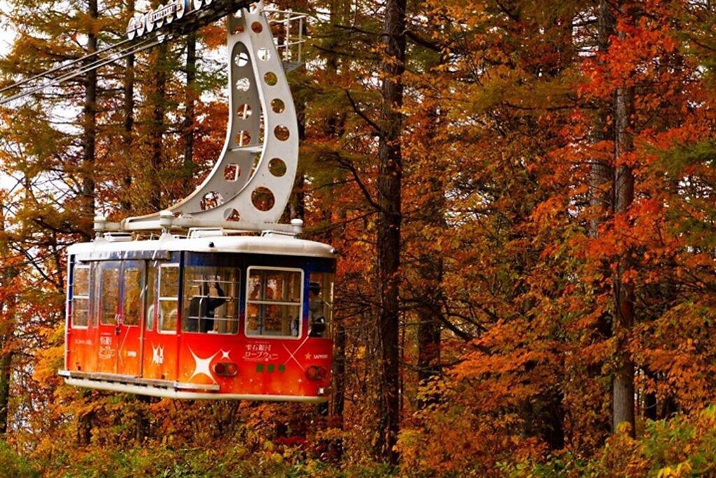 「雫石紅葉纜車」移動途中紅葉相伴，帶領遊客享受秋季最美空中漫步。　圖：雫石王子大飯店／來源