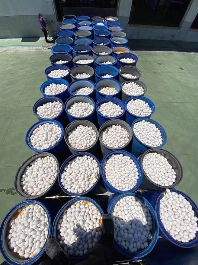 待销毁的鸡蛋由专人管控销毁流程。（彰县府提供／孙英哲彰化传真）