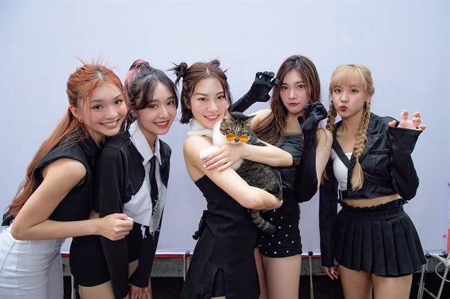 张瑄（中）带自家小猫到场，让力安（左起）、郭郭、紫嫣、雨璇相当兴奋。（流浪动物之家基金会提供）