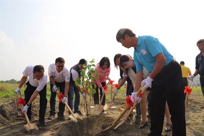 云林县府新闻处认养东势乡植树，今日在四美生命纪念园区种34棵茄冬树。（周丽兰摄）