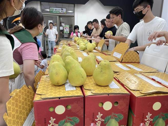 彰化家扶今天收到600箱柚子，堆成一面柚子墙。（彰化家扶提供／孙英哲彰化传真）