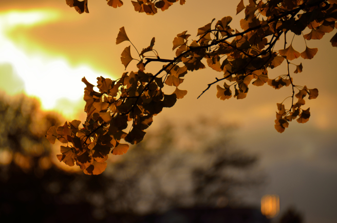 开运可以很生活，只要照着节气时间去做，好运就会来临。（达志影像/shutterstock）