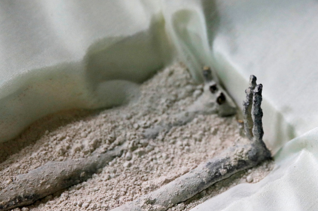 墨西哥国会上展示的「千年外星人」。（图／路透社）