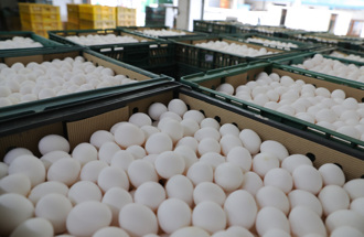 進口蛋食安疑慮 液蛋竟改國產