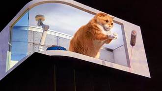 台灣也看得到！「胖橘貓」跳出車站頂樓 打造基隆超萌新亮點