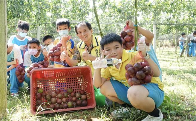 埔里镇长廖志城亲自带领镇上各校国小学童走进大坪顶百香果园，了解百香果的生长过程。（埔里镇公所提供／杨静茹南投传真）