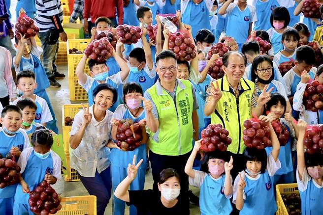 国小学童跟着百香果农学习百香果挑选技巧，认识故乡农特产。（埔里镇公所提供／杨静茹南投传真）