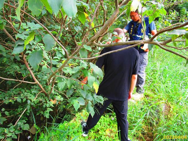 台中市清水区海风段保安林地遭丢弃大量废弃物，两嫌涉违反《废弃物清理法》移送法办。（林业署台中分署提供／陈淑娥台中传真）