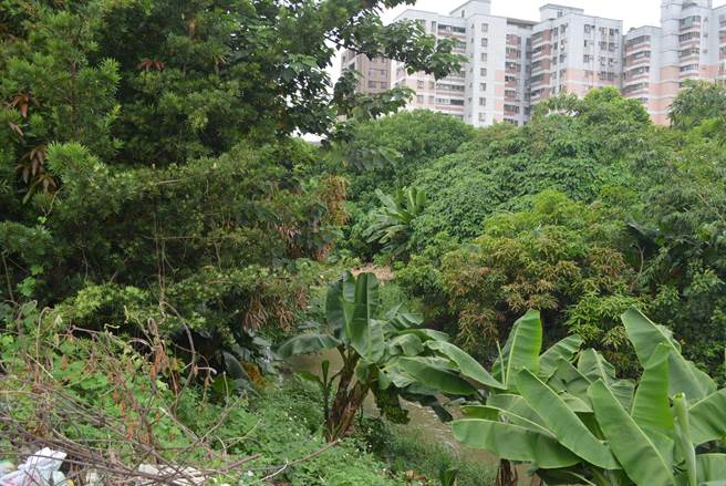 水利署三河局「旱溪排水日新桥上游治理计画」，其中「日新桥至日新路段」河道整治用地由30公尺缩至15公尺，引起民眾不满。（民眾提供／潘虹恩台中传真）