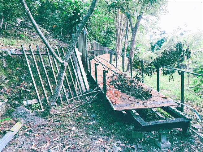 花莲市松园园区环山150米仿木栈道，3年前斥资百万余元铺设完成，近日却在完好状态下遭文化局全数挖除，引起民眾质疑浪费公帑。（花莲县议员张美慧服务处提供／罗亦晽花莲传真）