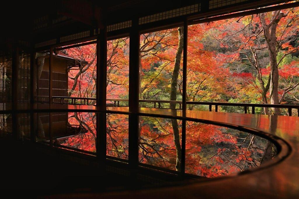 境內靜謐高雅的紅葉絕景令人一見難忘。　圖：染工房夢祐斎／來源

