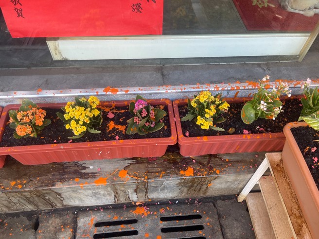 （照片 / 民眾提供）