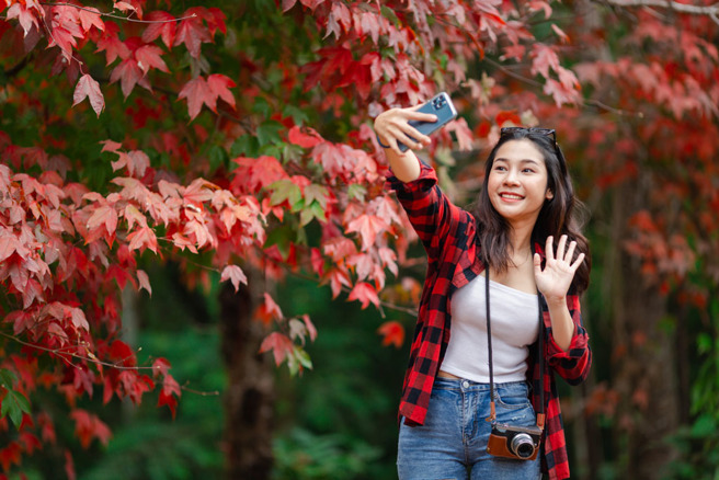明天是24节气的秋分，民俗专家杨登嵙点名属兔、龙、狗、鸡4生肖留意健康。（示意图／Shutterstock）