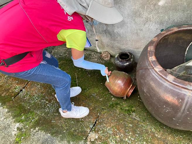 南投县卫生局提醒，若家中盆栽、容器因积水造成病媒蚊孳生，依《传染病防治法》可处6万元以上30万元以下罚锾。（南投县卫生局提供／杨静茹南投传真）